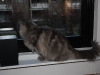 billede-078-large.jpg